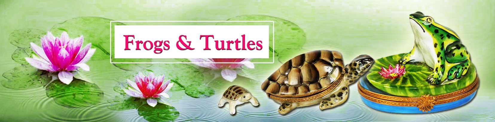 Frogs & Turtles