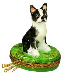 Boston Terrier in the Grass Limoges Box (Beauchamp)