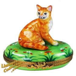 Brown Cat in the Flowery Grass Limoges Box (Beauchamp)
