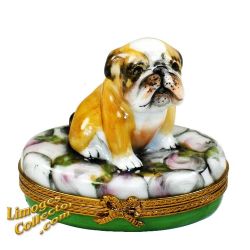 English Bulldog on Garden Stones Limoges Box (Beauchamp)