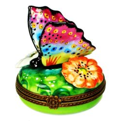 Colorful Butterfly Among Daisies Limoges Box by Beauchamp, Authentic Hand-Painted Imported Limoges Boxes France Collectible & Luxury Gift
