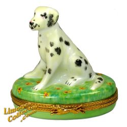 Dalmatian Dog on Flowery Grass Limoges Box