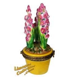 Gladiolus in Flower Pot Limoges Box