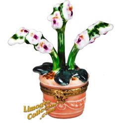 Orchid Flower in Clay Pot Limoges Box (Beauchamp)