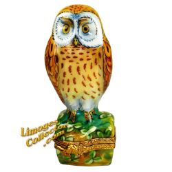 Brown Owl Among Leaves with Egg in Nest Limoges Box (Beauchamp)