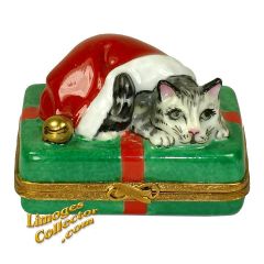 Cat in Santa's Hat Christmas Present (Artoria)