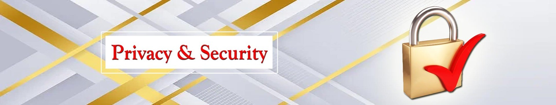 Privacy Policy - 100% Secure Website - Shop with Confidence at LimogesCollector.com