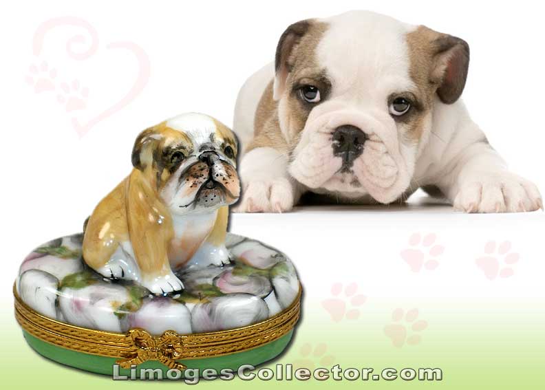Bulldog Limoges box by Beauchamp Limoges | LimogesCollector.com